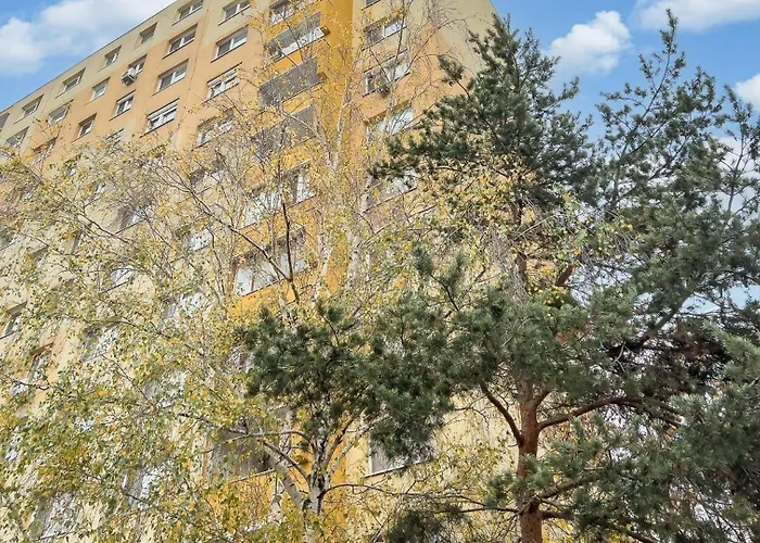 Tichy Dubravka 营地